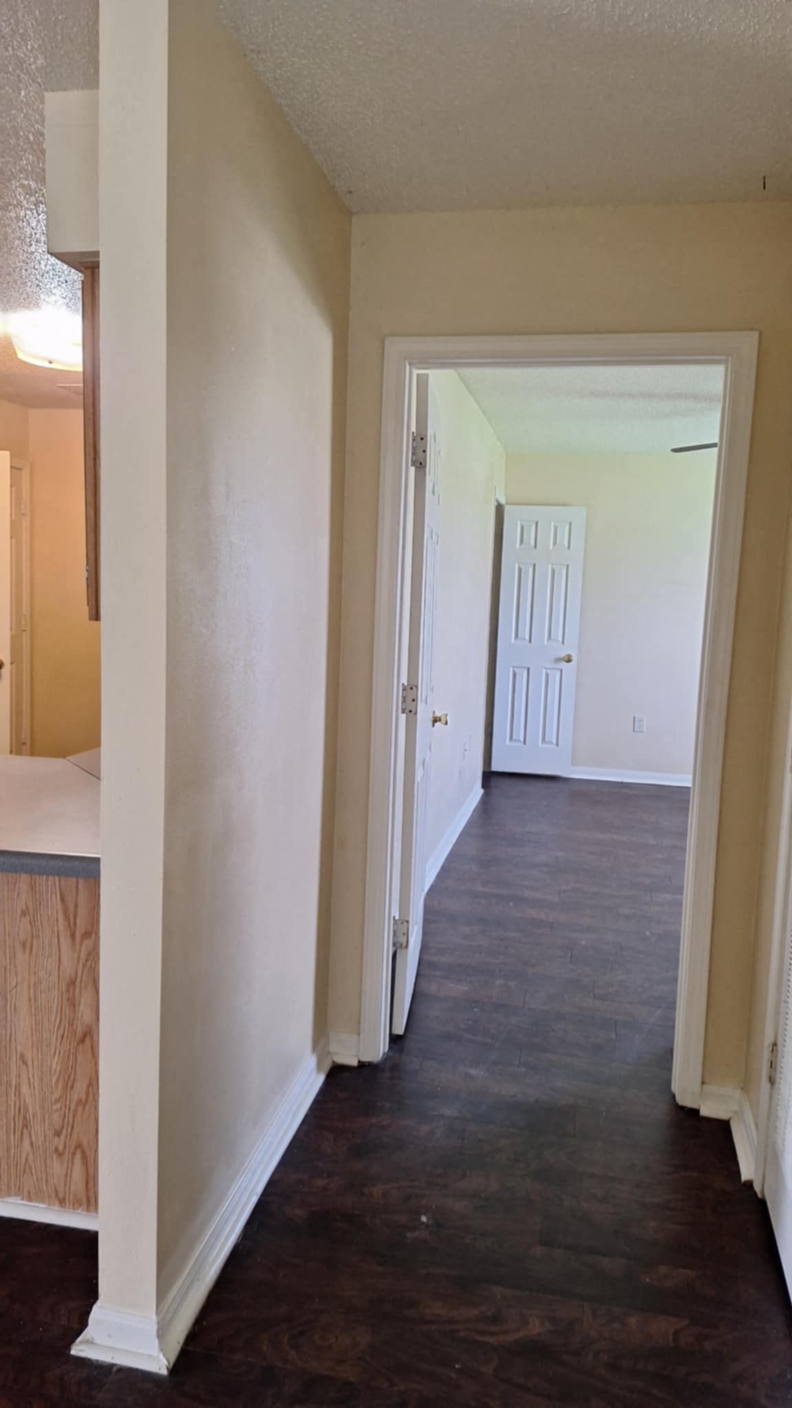 looking into master bedroom